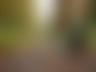 How to Run with Confidence and Prevent Foot Injuries with Expert Tips from Podiatrist Claire Talbot