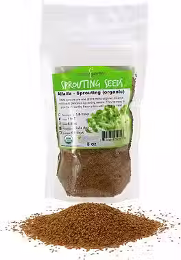 Alfalfa.avif