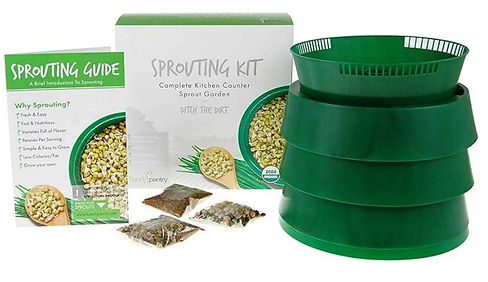 sprouting towers.jpg