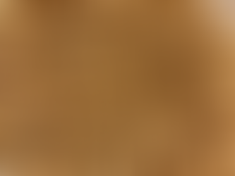 Sprouted Grain Breakfast Bowl