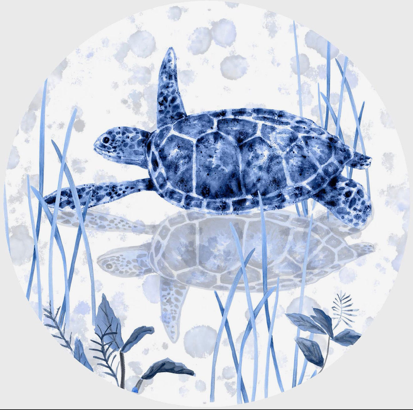Silicone Non-Slip Jar Opener - Sea Turtle