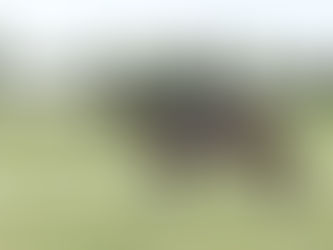 From Finish to Start