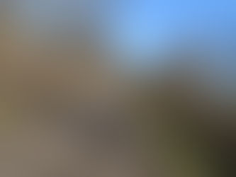 Babies on Bikes with Sugar on Top