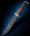 210208_Jose_Santiago-Cummings_003_edited