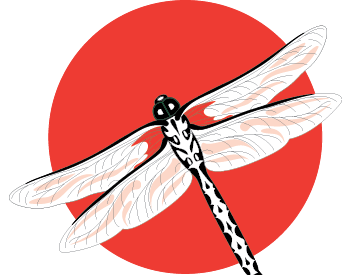 My Japan Okinawa Eisa Festival