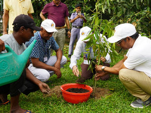 IIT Guwahati Kicks Off Year-Long Green Campus Drive to Mark World Environment Day