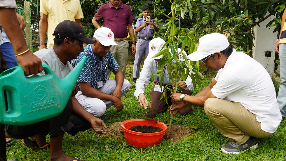 IIT Guwahati Kicks Off Year-Long Green Campus Drive to Mark World Environment Day