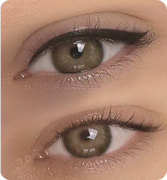 image 5.png
