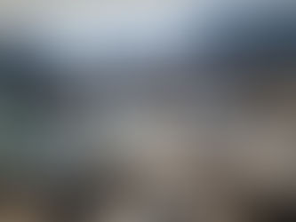 North Food składa wniosek o upadłość