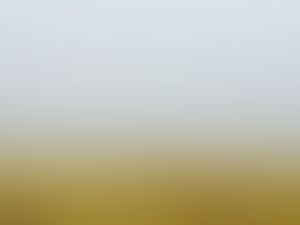 Aloe Vera products et perte de poids : ce que vous devez savoir