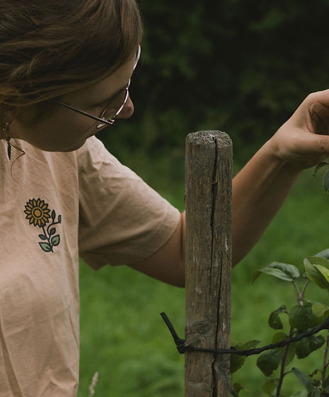 Design ohne Titel (12).jpg