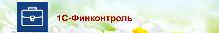 Сервисы-ИТС-1С-Финконтроль.png