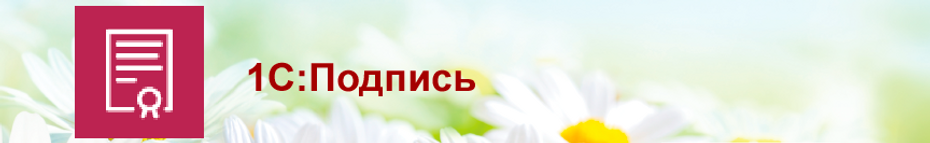 Сервисы-ИТС-1С-Подпись2.png