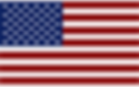 American flag logo