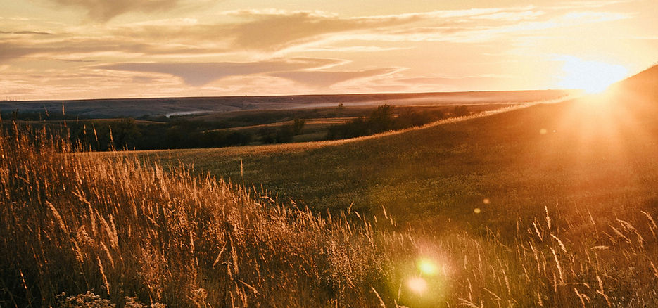 matt-phillips-n61b2HdZtAM-unsplash 1.jpg