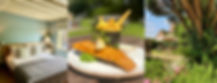 Bear-banner.jpg