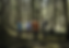 image 23.png