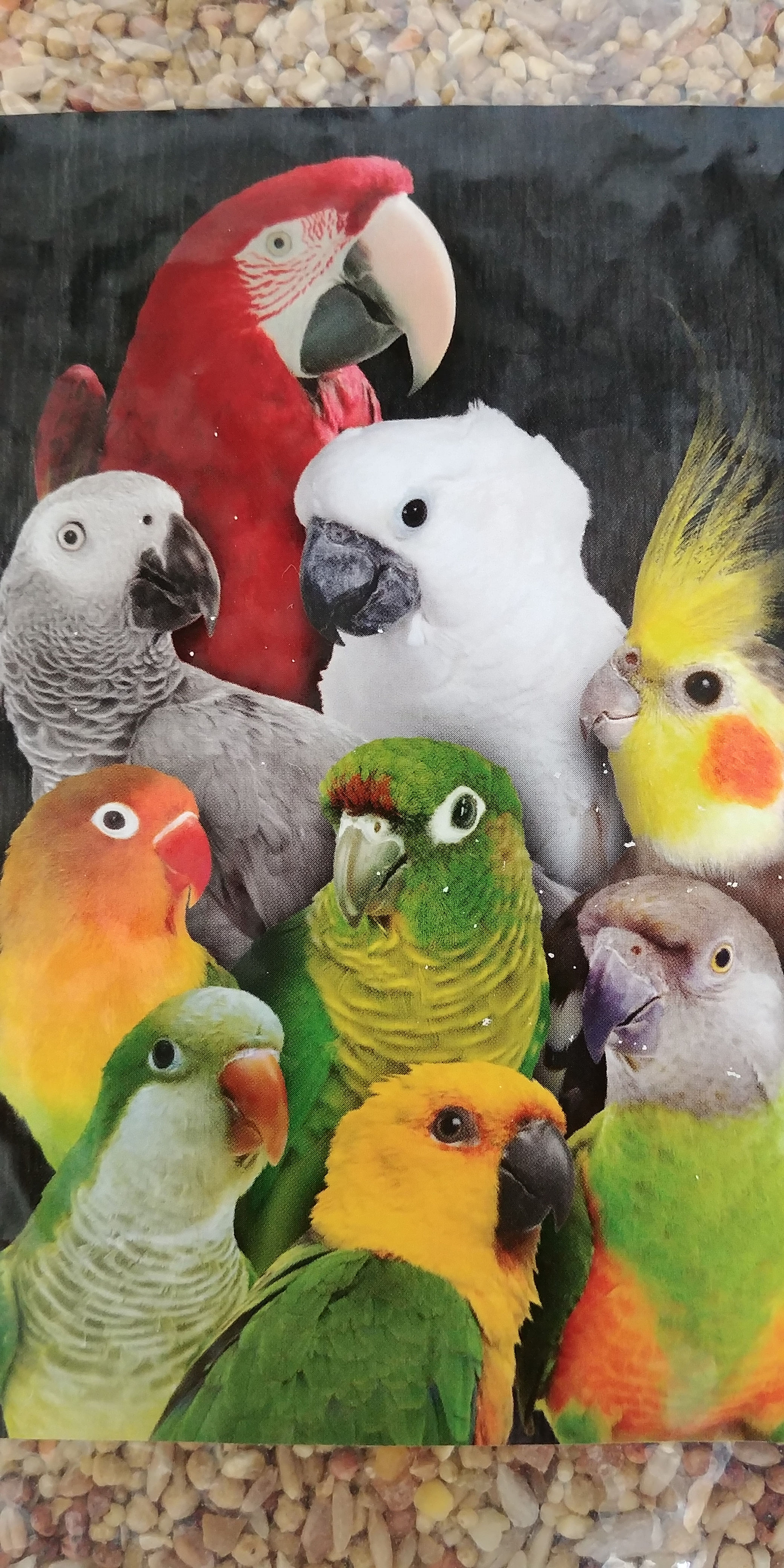 Bird Deposit $25-$3000