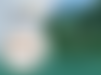 Atlas Awarded EcoVadis Bronze Medal for Sustainability Excellence