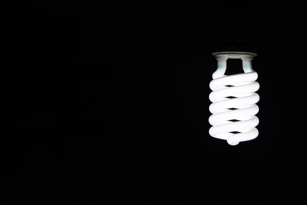 Light Bulb - Green Brook Electronics