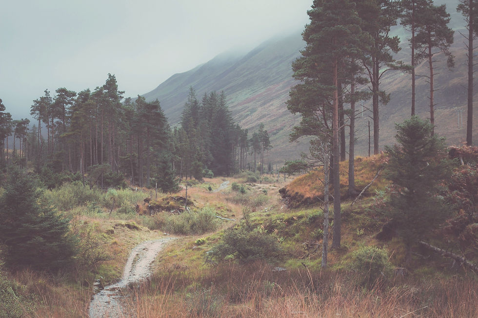 Prachtig pad door een divers natuurlandschap