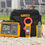 Thumbnail: Fluke GFL-1500 Ground Fault Locator