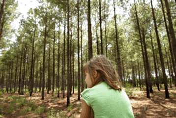 20080818_TreyClark_1274 little girl forest.gif