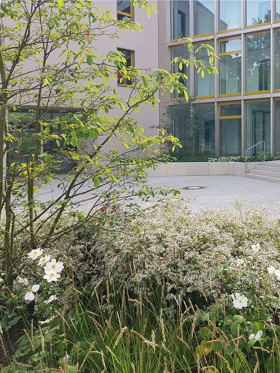 20210921_125610 Kopie.jpg