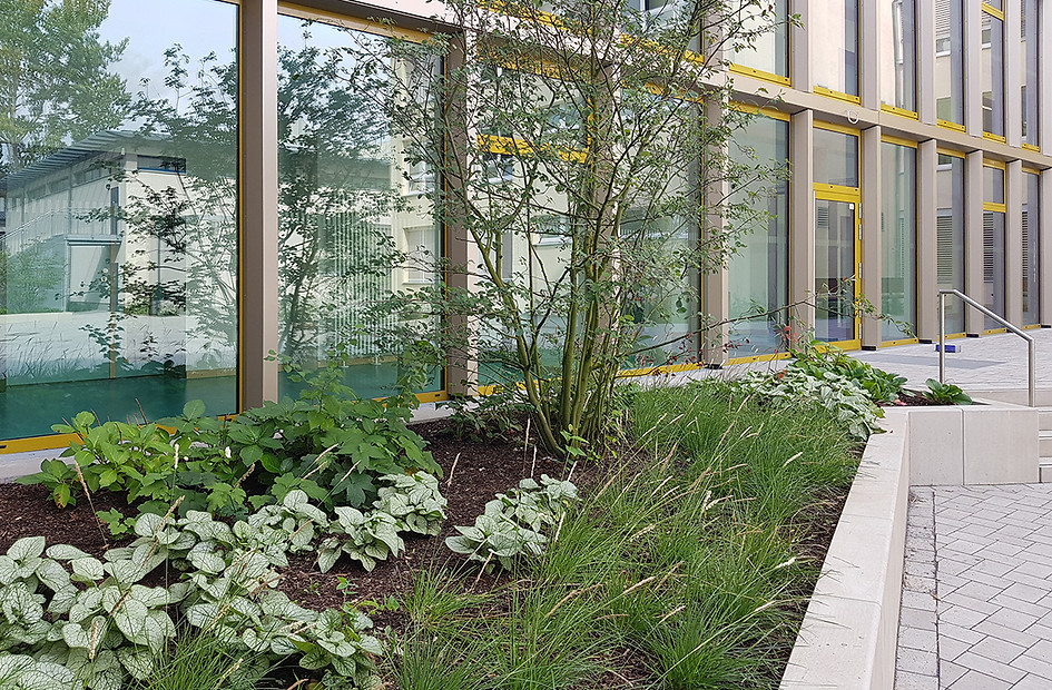 20210921_125752 Kopie.jpg