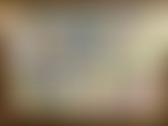 Understanding the Zones of Regulation at The Lion Works School