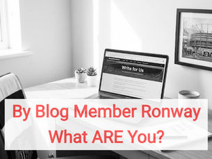 What Type Of 'Supporter' Are YOU? By Blog Member Ronway.