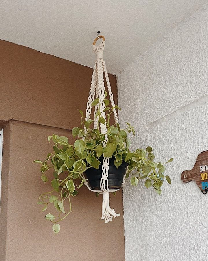 Thumbnail: Macrame - Plant Hanger