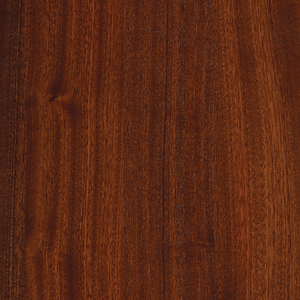 holz.png