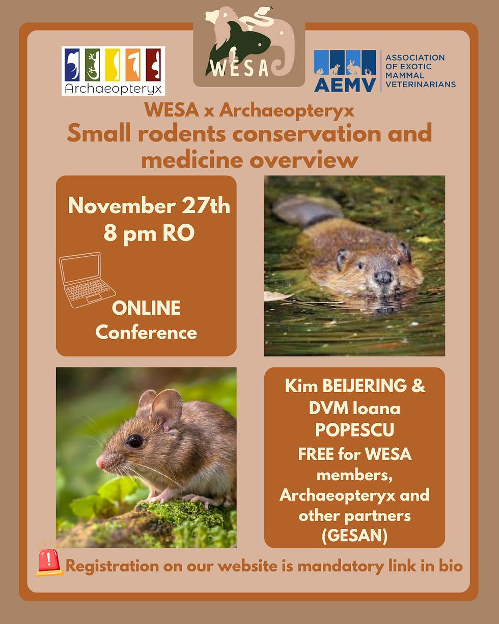 Small rodents conservation and medicine overview
