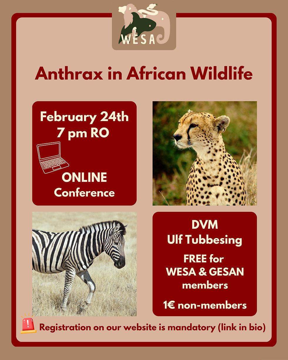Anthrax in African Wildlife
