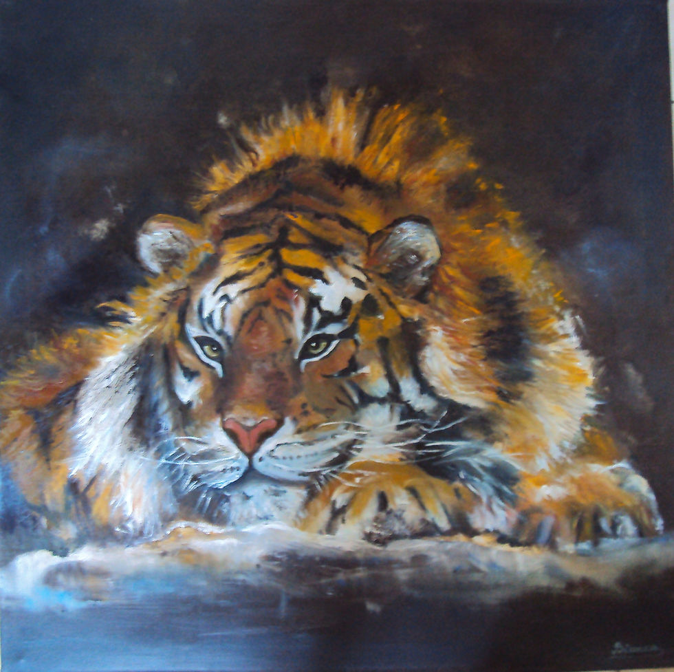 L’œil du tigre