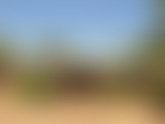 Pa Mthunzi Retreat Center & Future Trip Dates