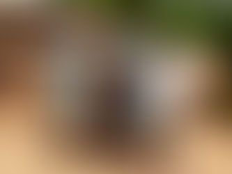 The First 70 | Poultry & Backyard Gardening Project