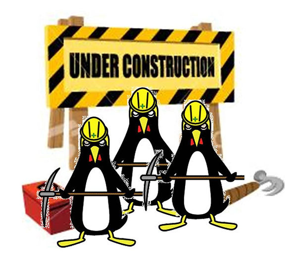 construction2.jpg