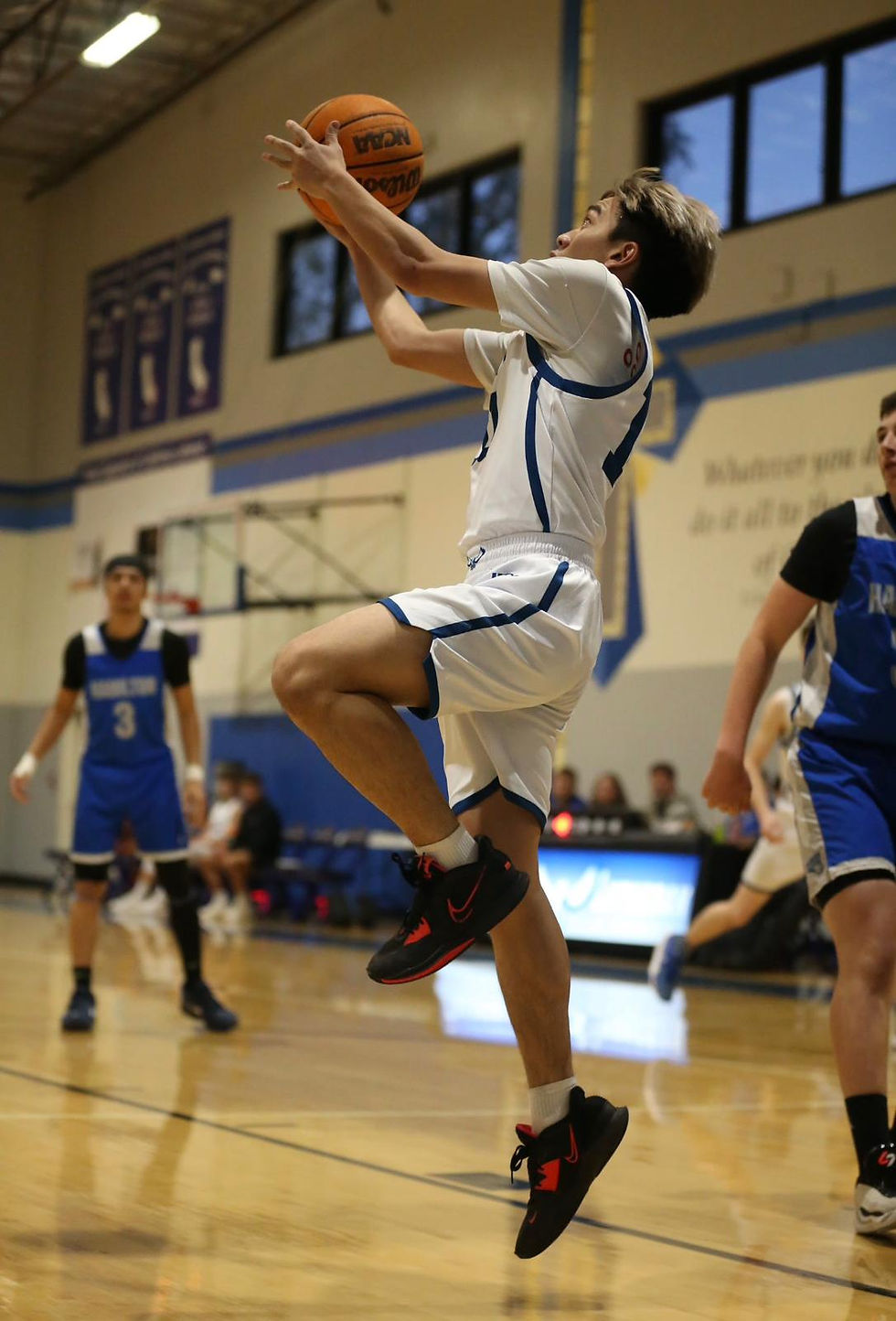 Ezra alumini-OTD-3
