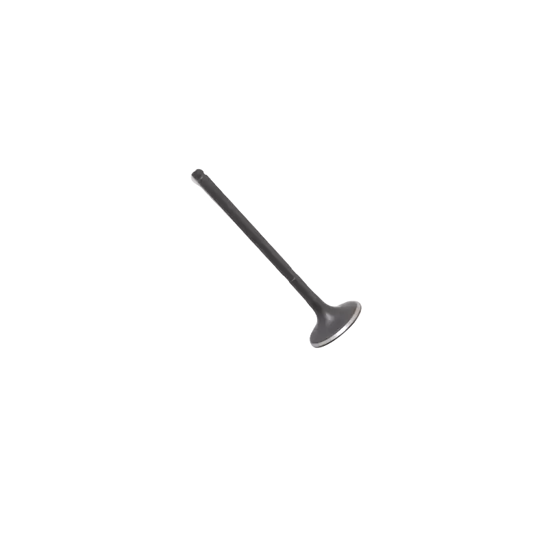 Thumbnail: Inlet Valve Jaguar XF 3.0 V6 Petrol (2008-15) JAGUAR - XR822776