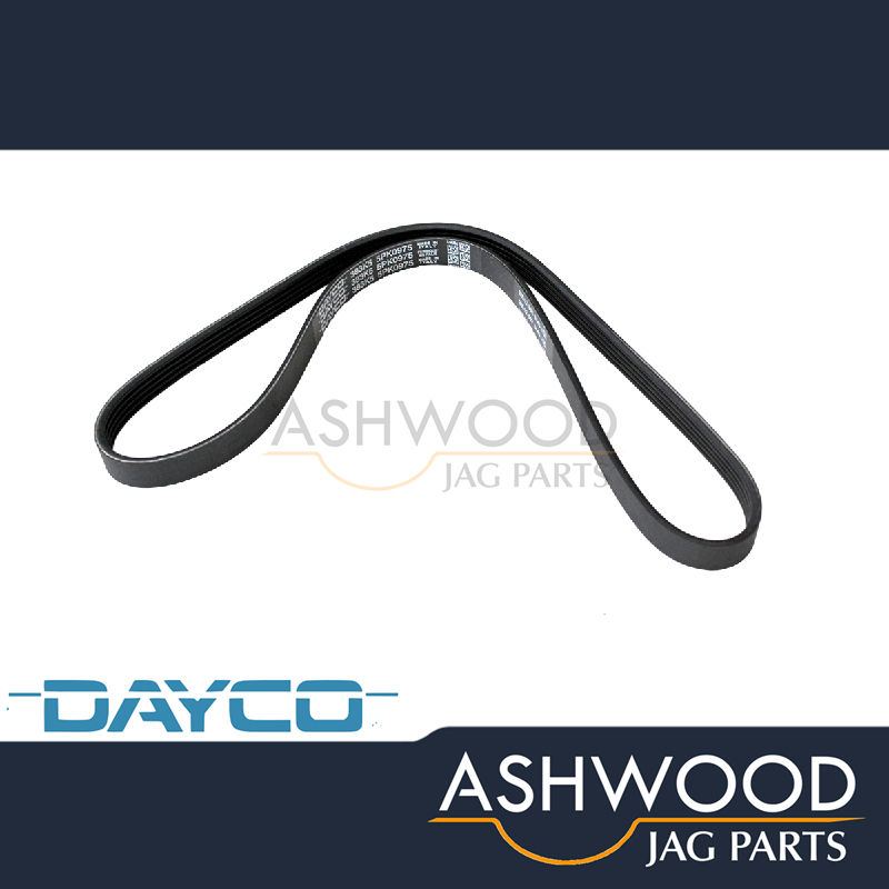 Alternator Drive Belt Jaguar XJ6 XJR 3.2 4.0 (1995-97) DAYCO OEM - EBC11306