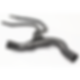 Radiator Bottom Hose Jaguar S-Type 3.0 V6 ('99-'02) - XR82871