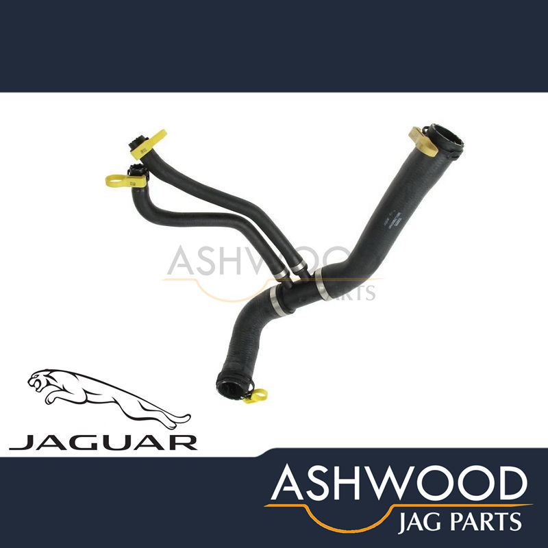 Radiator Bottom Hose Jaguar XF 4.2 V8 N/A (2008-09) JAGUAR - XR849187