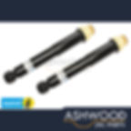 2x Rear Shock Absorbers Jaguar XKR Coupe ('R')(+Adaptive)('00-'02) MXD3540AA