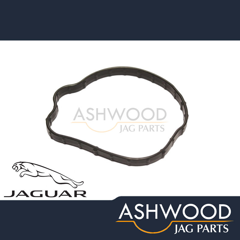 Fuel Pump Mounting Gasket Jaguar XJ 2.0 GTDI Petrol (2012-19) JAGUAR - JDE28259