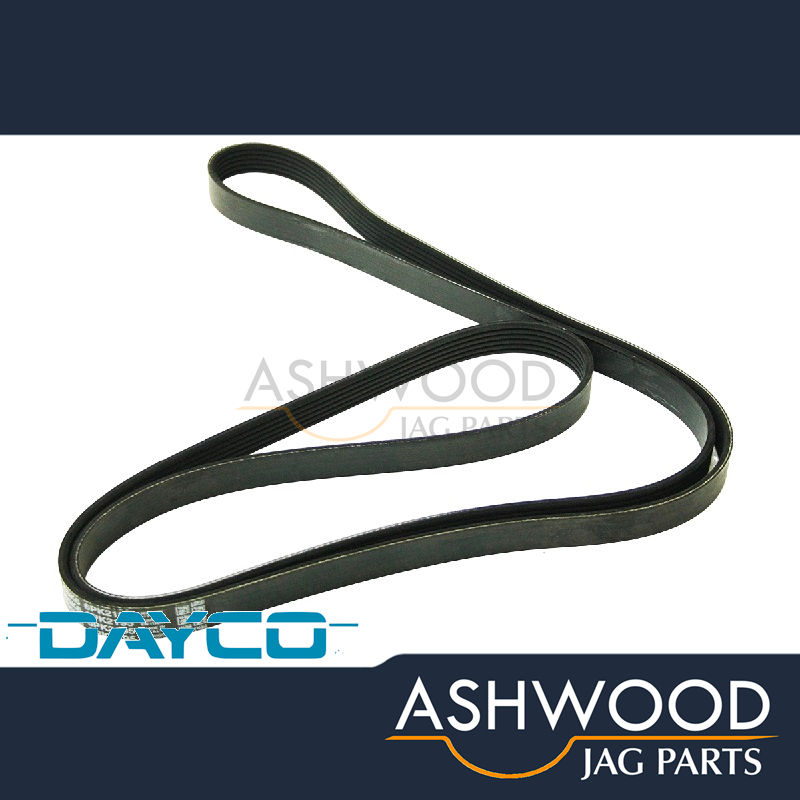 Engine Drive Belt Jaguar XF 2.0 GTDI Petrol (2016-17) DAYCO OEM - C2D19766