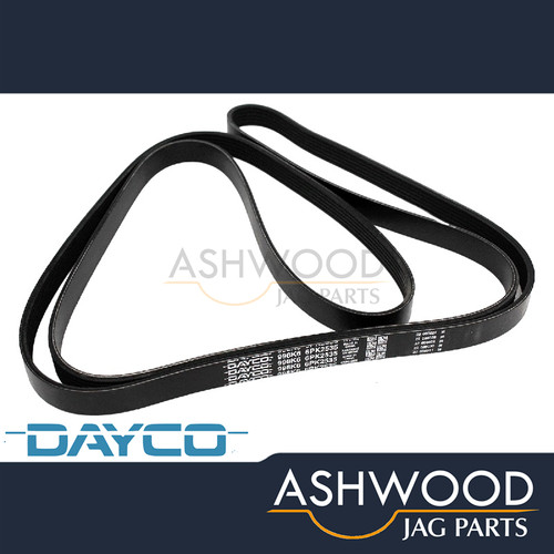 Engine Drive Belt Jaguar XJ 5.0 V8 N/A (201019) DAYCO OEM C2P12808