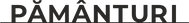 pamanturi.png