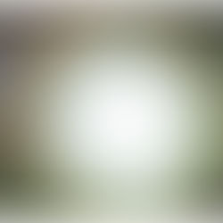 The Unbelievable Lightness of Being